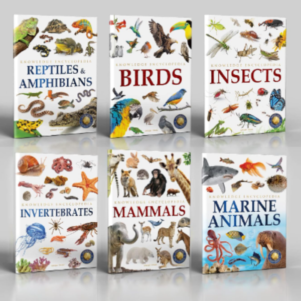 Animals Children Knowledge Encyclopedia - Collection of 6 Books Reptiles & Amphibians, Birds, Insects, Mammals, Marine Animals, Invertebrates