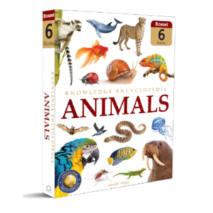 Animals Children Knowledge Encyclopedia - Collection of 6 Books Reptiles & Amphibians, Birds, Insects, Mammals, Marine Animals, Invertebrates